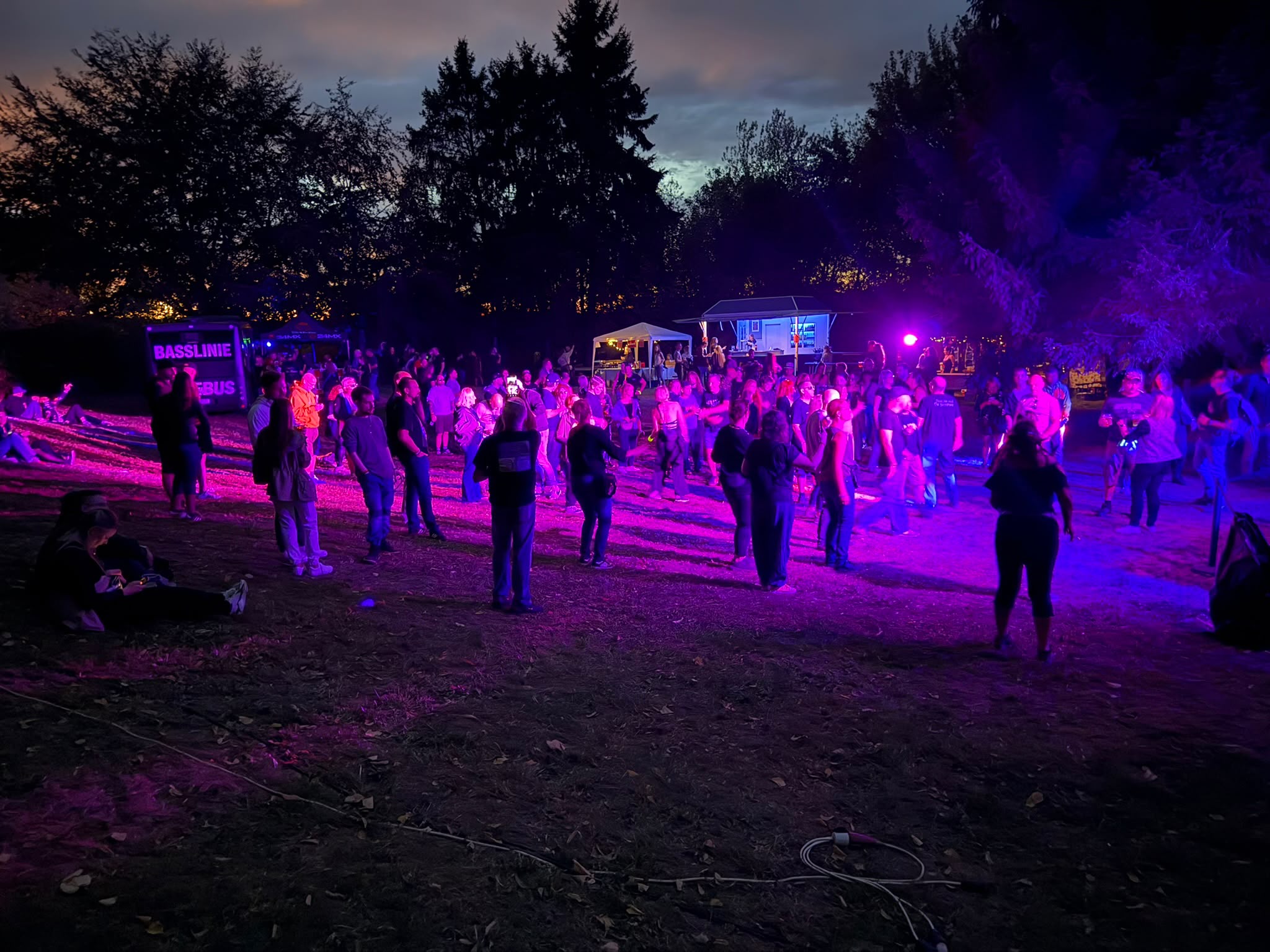 Electronic Waldgeflüster 2026 in Homburg